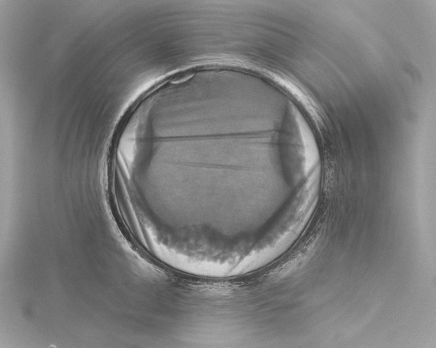 X0000115330999200911301524