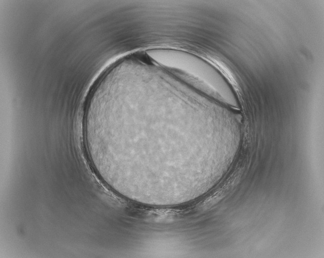 X0000115331000200911301524