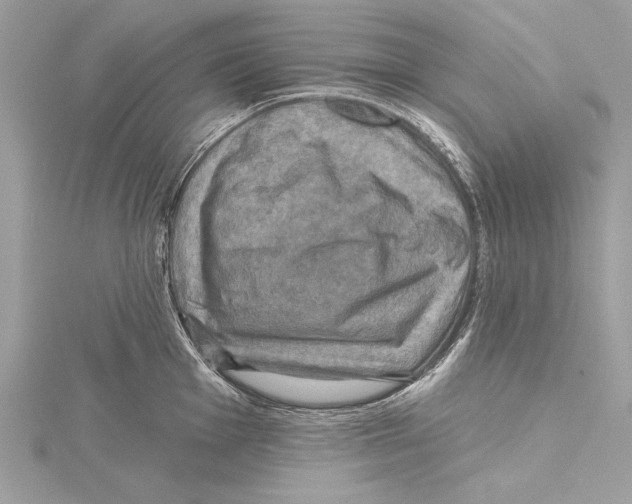 X0000115331001200911301524