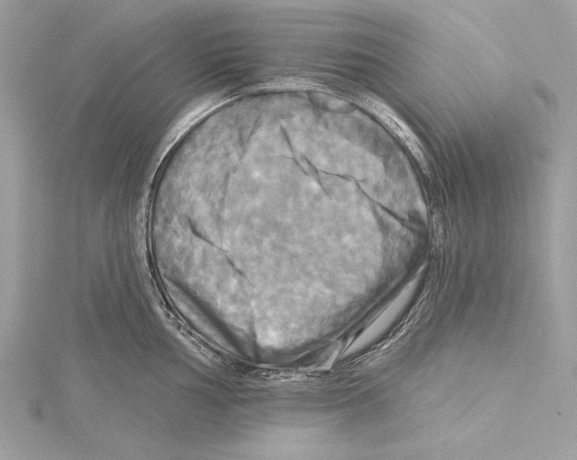 X0000115331002200911301524