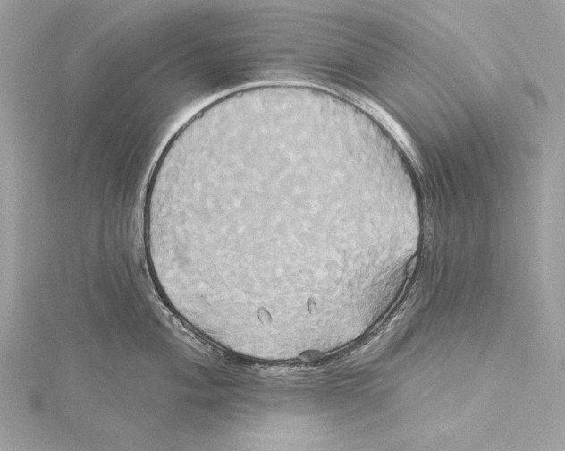 X0000115331004200911301524