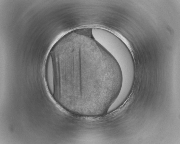 X0000115331005200911301524