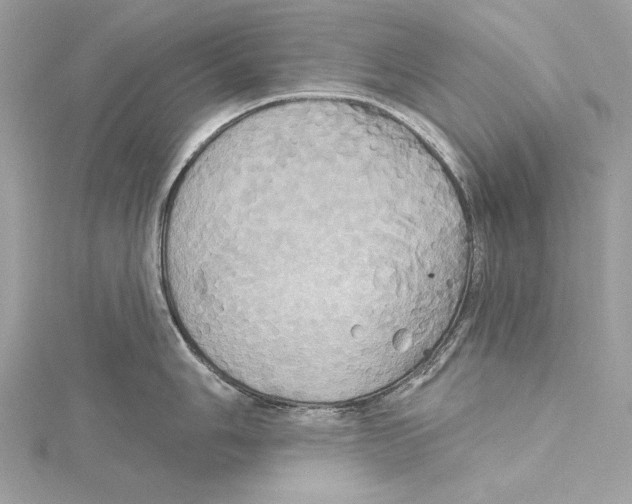 X0000115331006200911301524