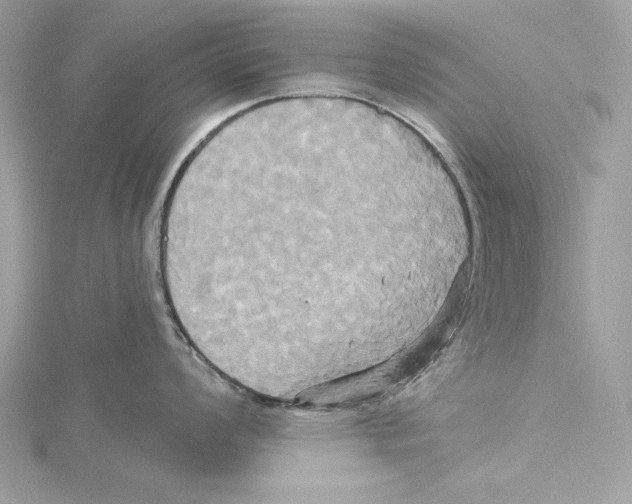 X0000115331008200911301524