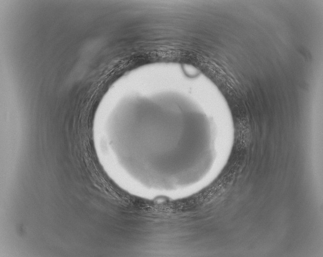 X0000115331009200911301523