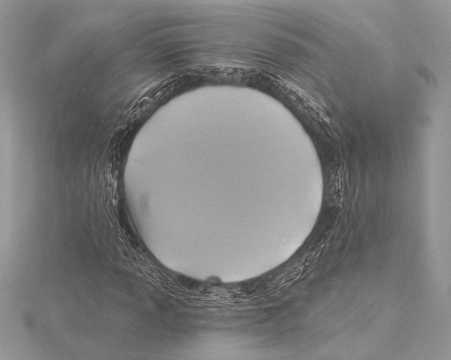 X0000115331013200911301523