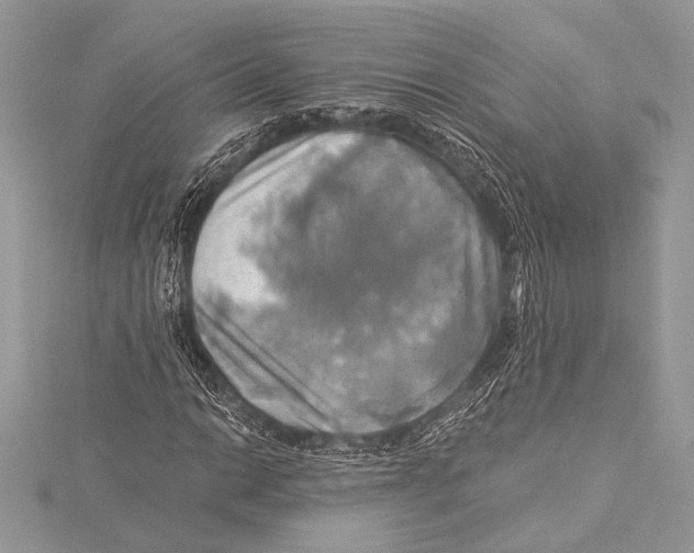 X0000115331014200911301523