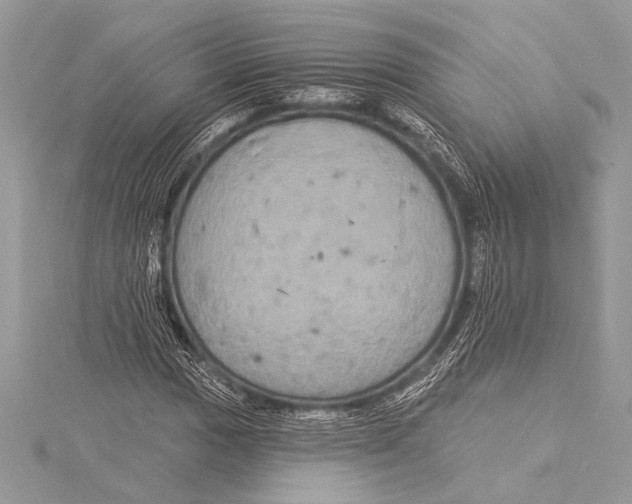 X0000115331017200911301523