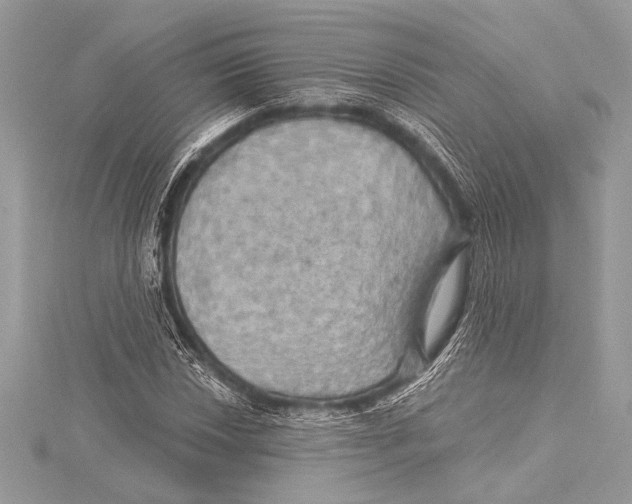 X0000115331018200911301523