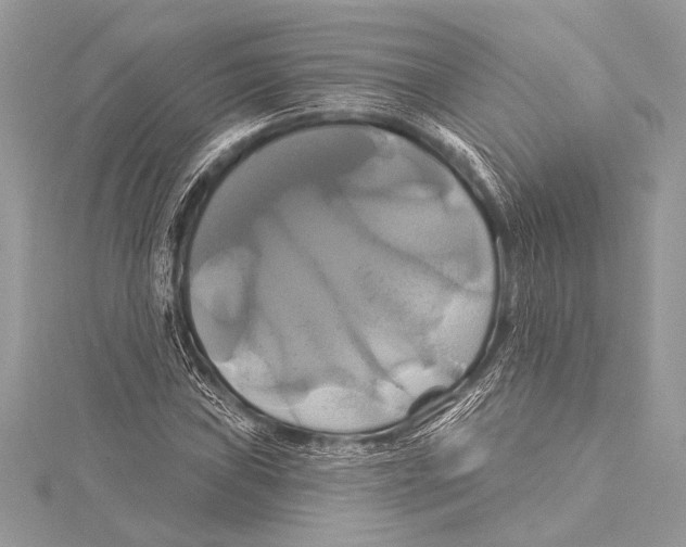 X0000115331019200911301523