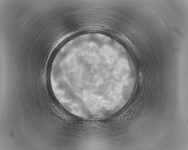 X0000115331020200911301523