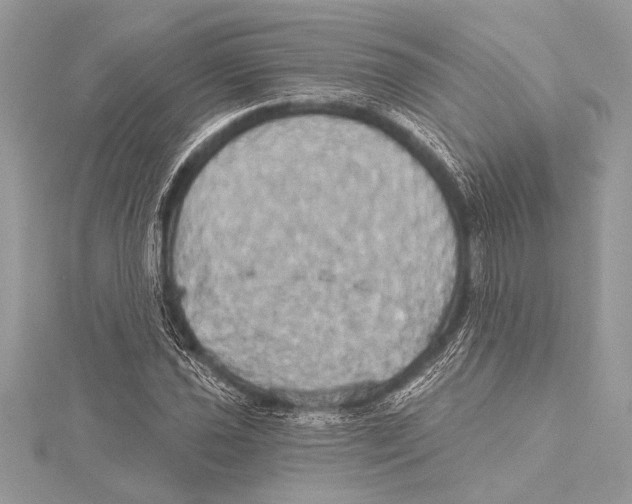 X0000115331021200911301523