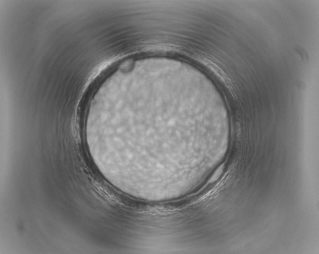 X0000115331022200911301523