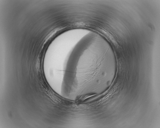 X0000115331023200911301523