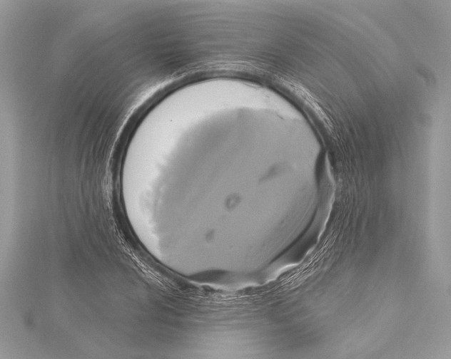 X0000115331024200911301523