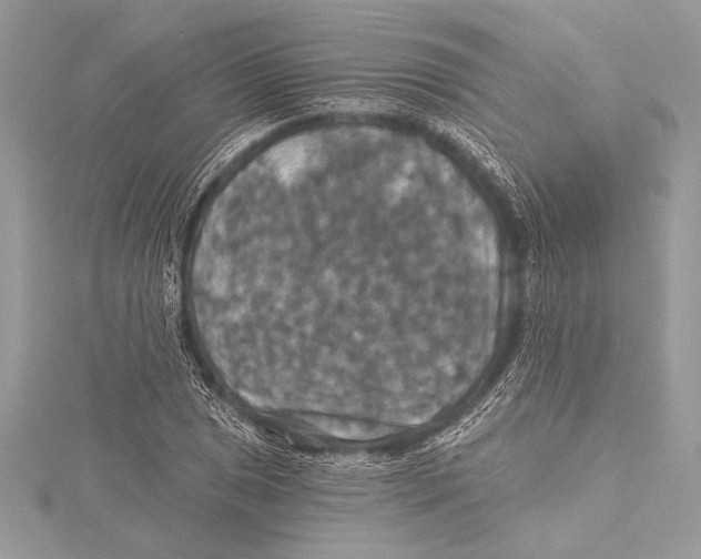 X0000115331025200911301523