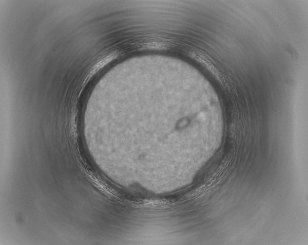 X0000115331026200911301523