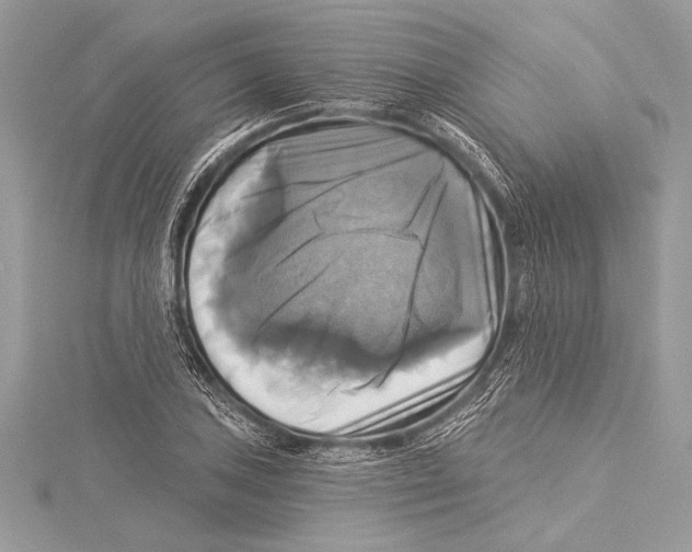 X0000115331027200911301523