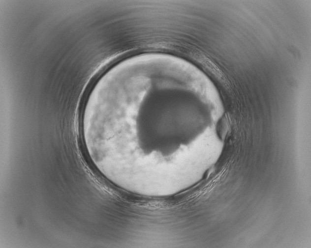 X0000115331028200911301523