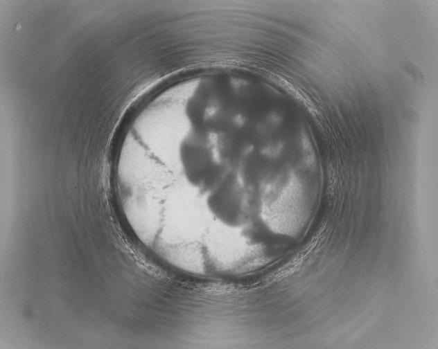 X0000115331029200911301523