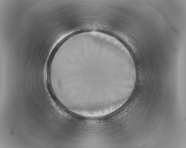 X0000115331032200911301523