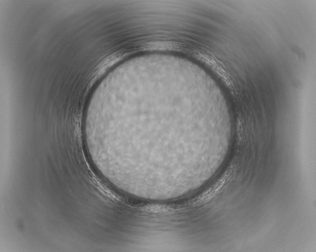 X0000115331033200911301523