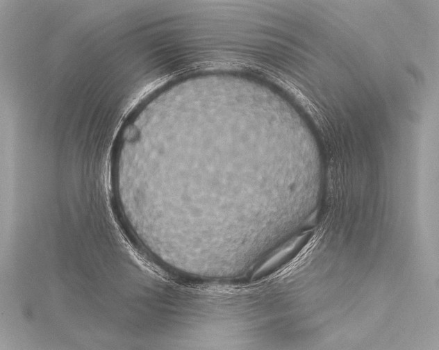 X0000115331034200911301523