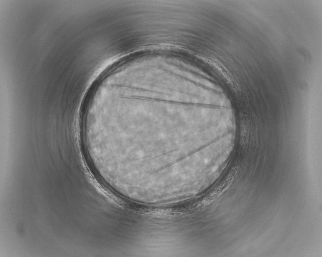 X0000115331038200911301523