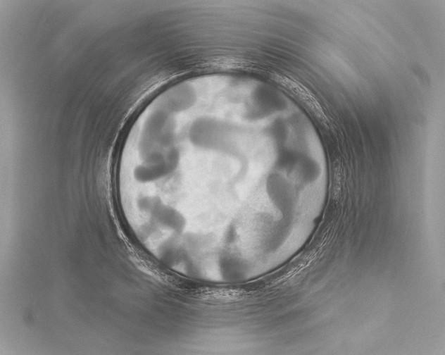 X0000115331039200911301523