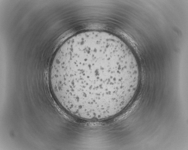 X0000115331041200911301523