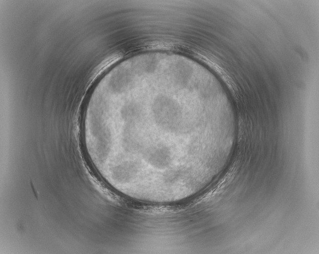 X0000115331042200911301523