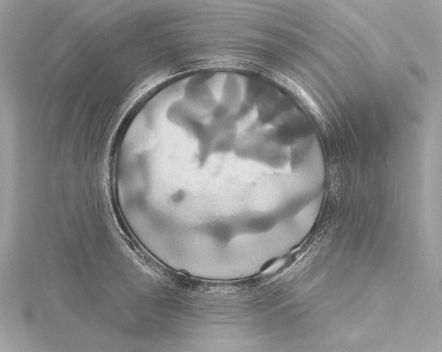 X0000115331043200911301523