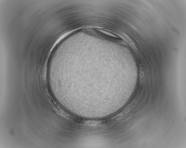 X0000115331044200911301523