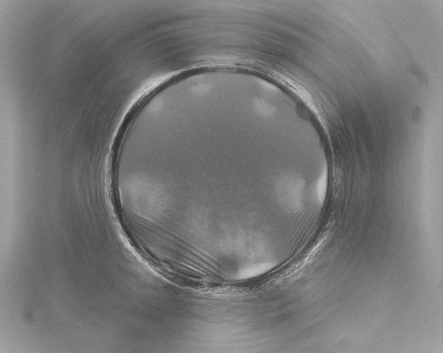 X0000115331045200911301523