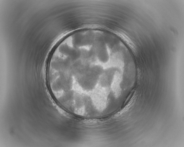 X0000115331046200911301523