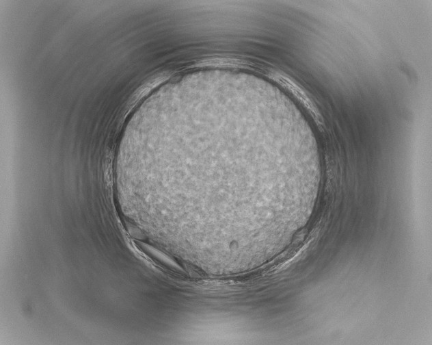 X0000115331049200911301523