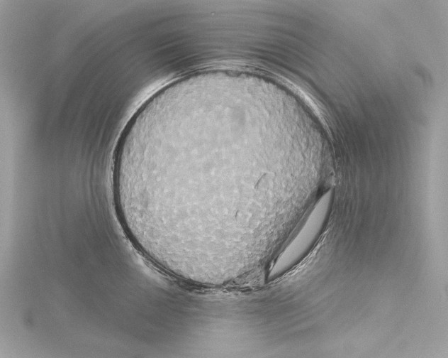 X0000115331050200911301523