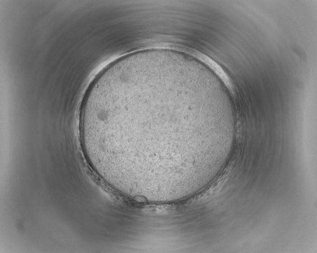 X0000115331051200911301523