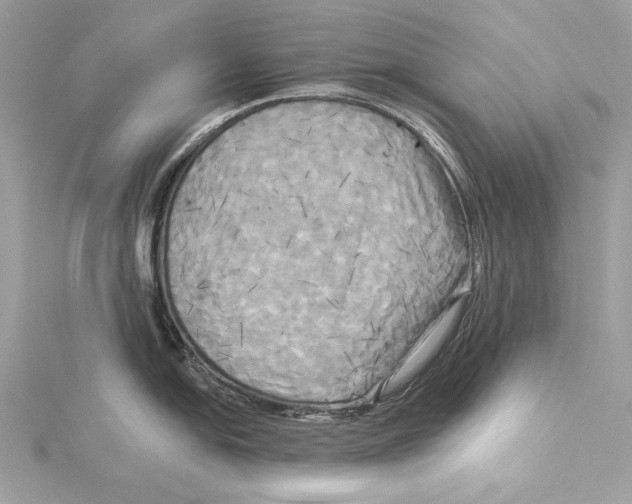 X0000115331054200911301523