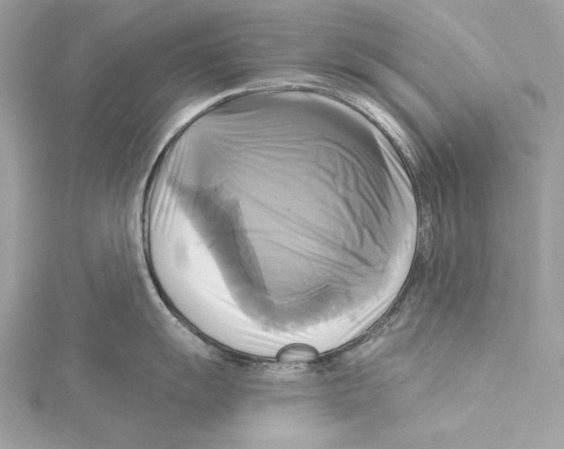 X0000115331055200911301524