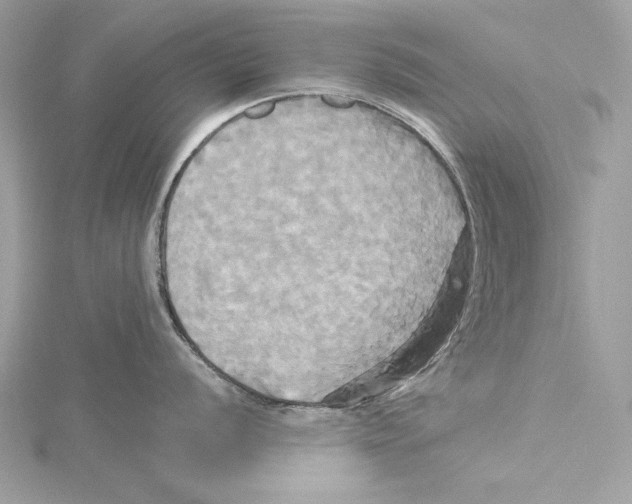 X0000115331056200911301524