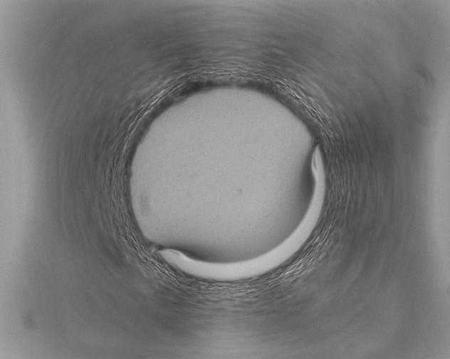 X0000115331057200911301523