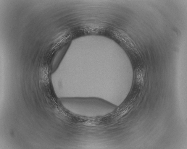 X0000115331060200911301523