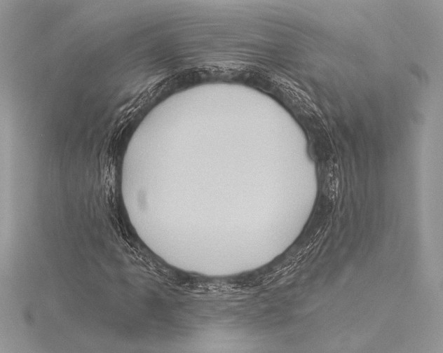 X0000115331061200911301523