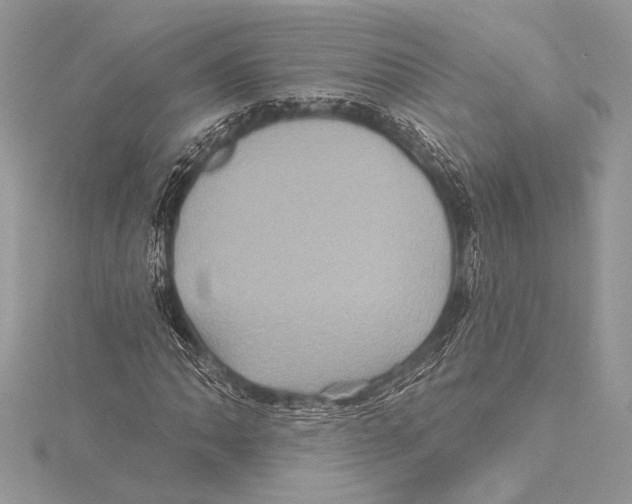 X0000115331062200911301523