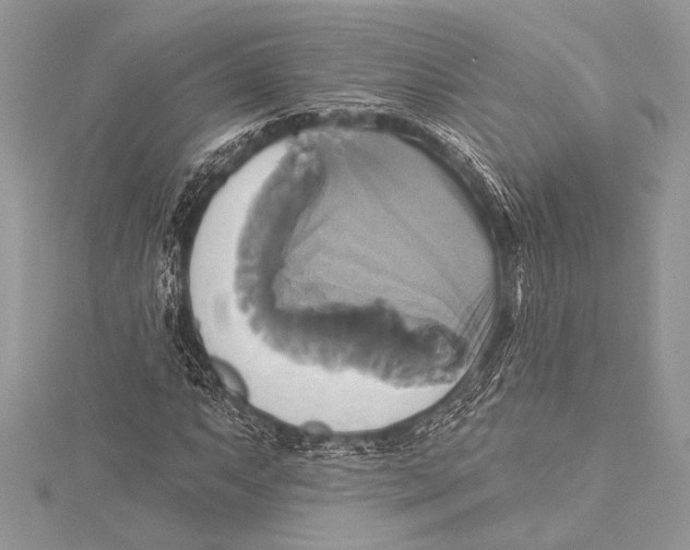 X0000115331063200911301523