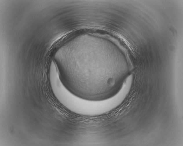 X0000115331064200911301523