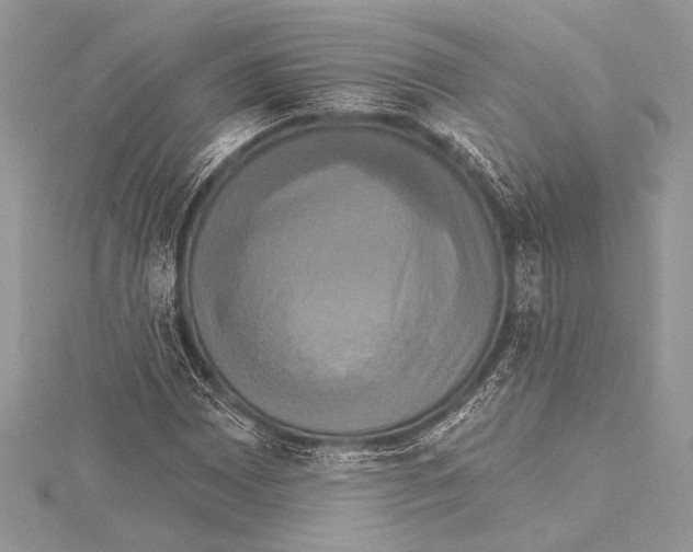 X0000115331065200911301523