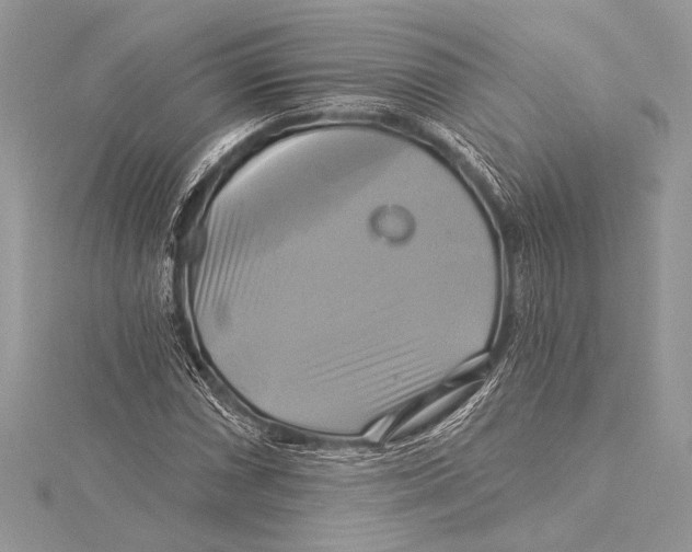 X0000115331066200911301523