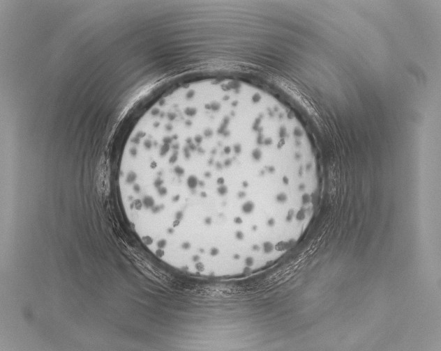 X0000115331067200911301523